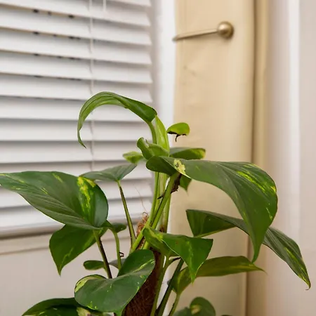 Appartement Base78, Your Place In Bristoi, Close To Station, Harbourside & *