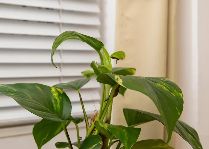 Apartament Base78, Your Place In Bristoi, Close To Station, Harbourside & *